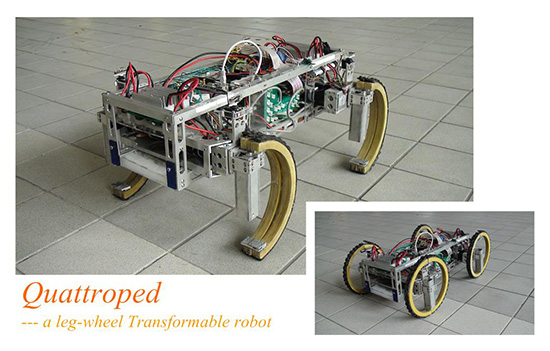 Quattroped